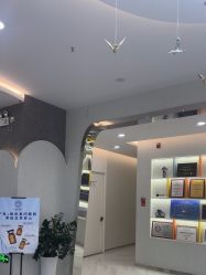 -金圣医疗美容
