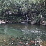 济南行