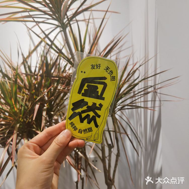合肥咖啡 | can条不是san条🐠