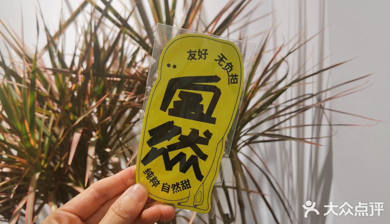 合肥咖啡 | can条不是san条🐠