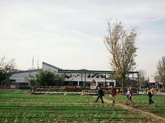 -田园东方蜜桃村的田野营地