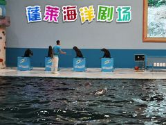 -蓬莱欧乐堡海洋极地世界