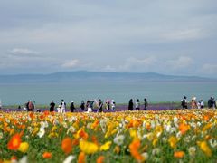 -青海湖国家重点风景名胜区
