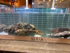 -丰卓会海鲜自助(中润大道店)