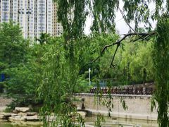 -贮水山儿童公园