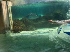 -新加坡水上探险乐园