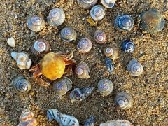 -东戴河风景区-止锚湾