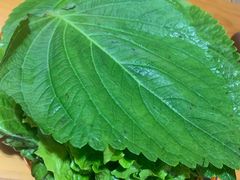 -美阿里烤肉·韩料(茂名道店)