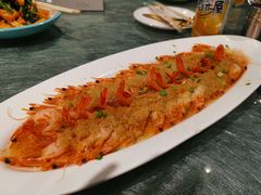 -毡房姑娘·新疆菜·烧烤