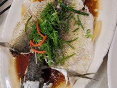 -津津菜馆(绝没分店)