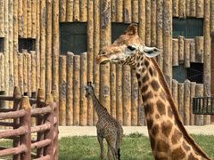 -济南野生动物世界