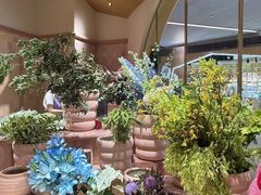 -BEAST野兽派(上海浦东嘉里城店)