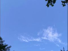 -白水寺森林公园