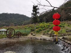 -广州市石门国家森林公园