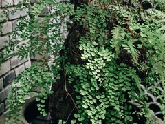 -鱼桥巷·美学川菜