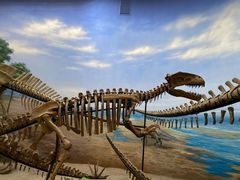 -延庆地质公园博物馆