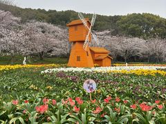 -苏州上方山国家森林公园