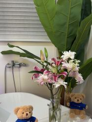 -WENDY·温迪皮肤管理