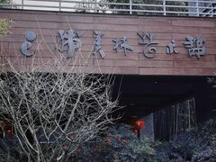 -杭州植物园