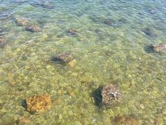 -长岛南北长山旅游景区