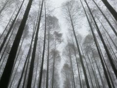-山王坪喀斯特国家生态公园