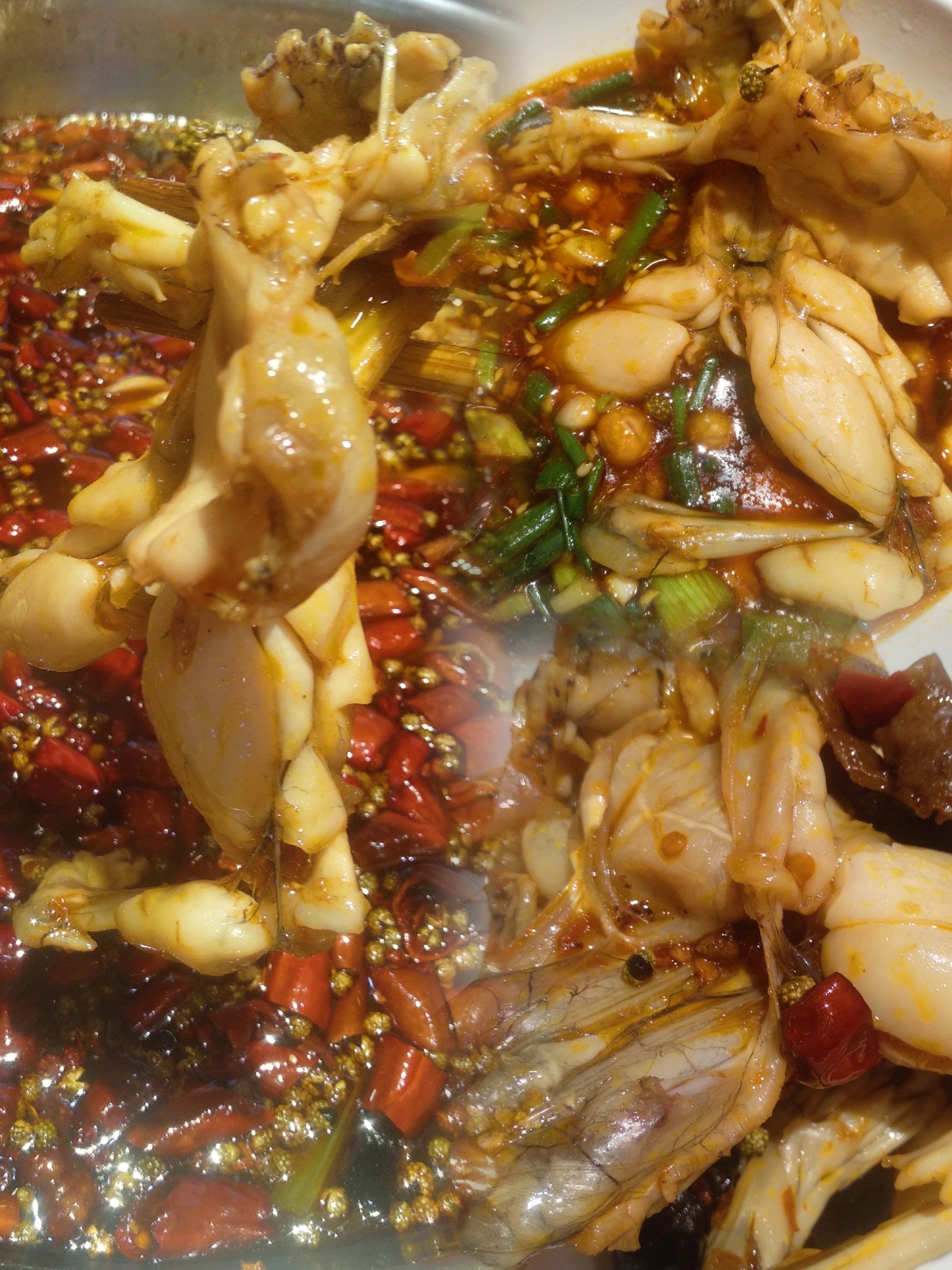 天天领红包 
#0元玩转这座城 
#拼图挑战赛 
#美蛙鱼头 
#没