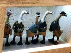 -小大董·烤鸭(凤凰汇店)