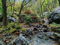 -云岫谷游猎自然风景区