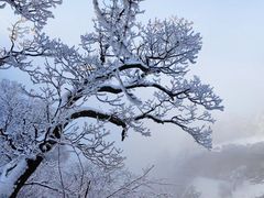 -华山风景名胜区