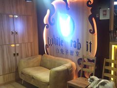 -白兔子密室(长寿路店)