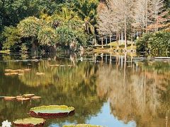 -中国科学院西双版纳热带植物园
