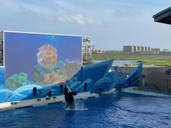 -上海海昌海洋公园