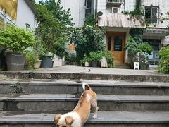 -懒鱼时光馆(沙坪坝店)