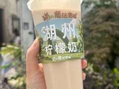 -猫的魔法密林(衣裳街店)