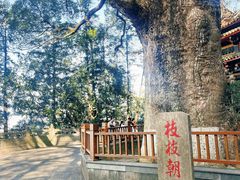 -安溪清水岩