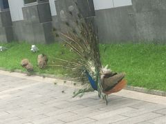 -东方时尚驾校摩托车考试场(东方时尚驾校西区店)