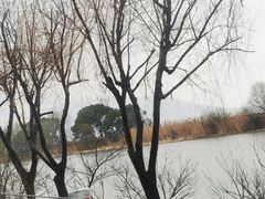 -美味之家·湖景农家乐(太湖东山店)