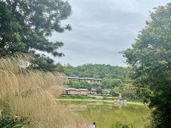 -清水湖度假村(罗浮山美食地标店)