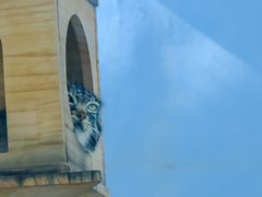 -青藏高原野生动物园