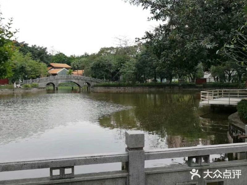 怡海公园(桂城街道)图片