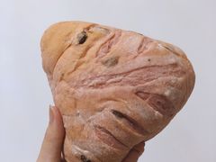 蜜蜜芝士火龙果-奈雪的茶(观前街店)
