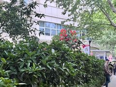 -复旦大学附属华山医院(总院)