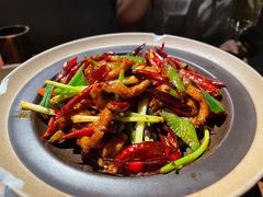 -毛辣果·酸(OHA复兴西路店)