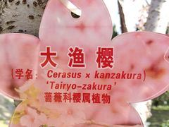 -堤角公园
