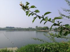 -大兴滨河森林公园