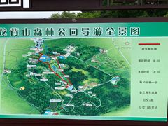 -宜兴龙背山森林公园