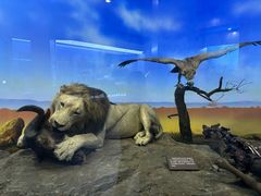 -国家自然博物馆