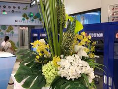 -万达广场(东莞厚街店)