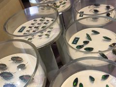 -陕西自然博物馆