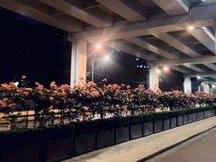 -同济大学(沪西校区)